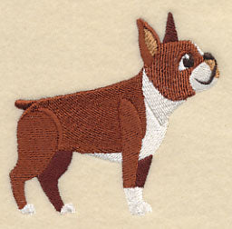Boston Terrier - Looking Right