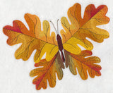 Oak Leaf Butterfly