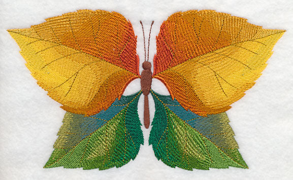 Cottonwood Leaf Butterfly