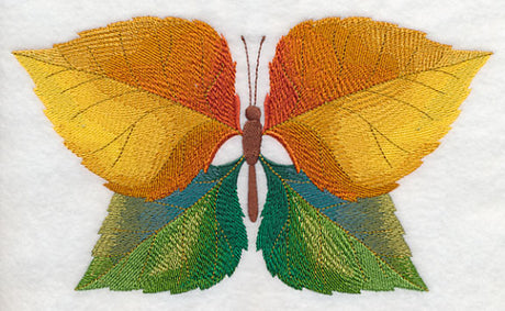 Cottonwood Leaf Butterfly