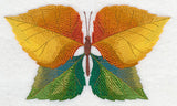 Cottonwood Leaf Butterfly