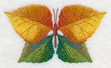 Cottonwood Leaf Butterfly