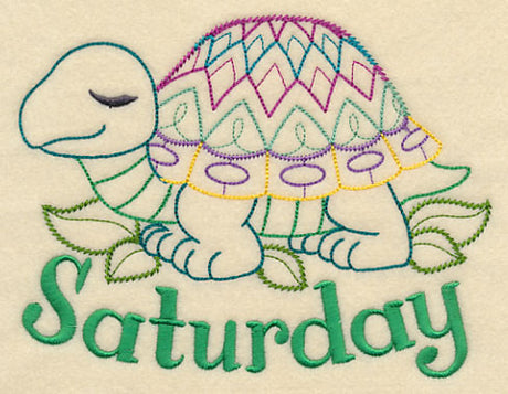 Saturday Turtle (Vintage)