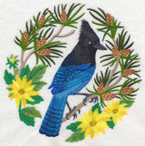 Steller's Jay Scene
