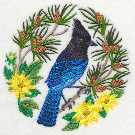 Steller's Jay Scene