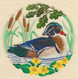 Wood Duck Scene