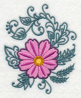 Cosmos Echo in Bloom