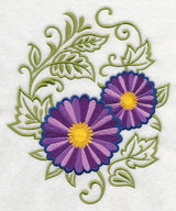 Asters Echo in Bloom