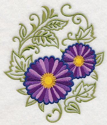 Asters Echo in Bloom