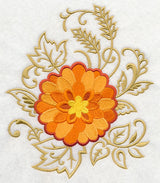 Chrysanthemum Echo in Bloom