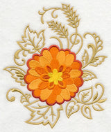 Chrysanthemum Echo in Bloom