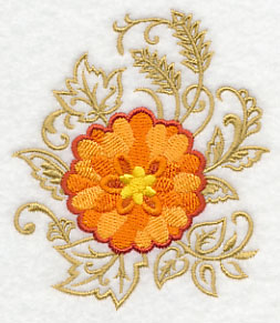 Chrysanthemum Echo in Bloom