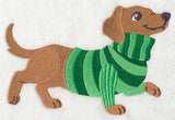 Dachshund in Sweater