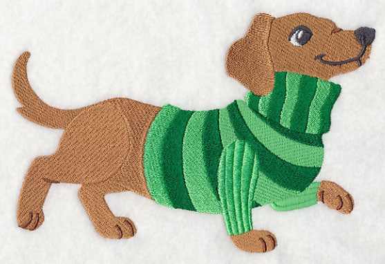 Dachshund in Sweater