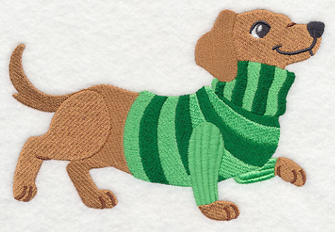Dachshund in Sweater