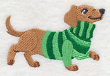Dachshund in Sweater