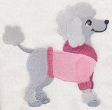 Poodle in Sweater