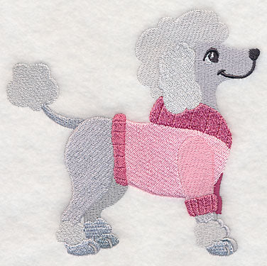 Poodle in Sweater