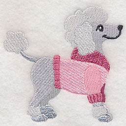 Poodle in Sweater