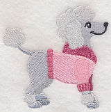 Poodle in Sweater