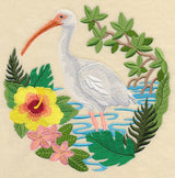 White Ibis Scene