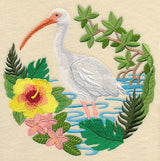 White Ibis Scene