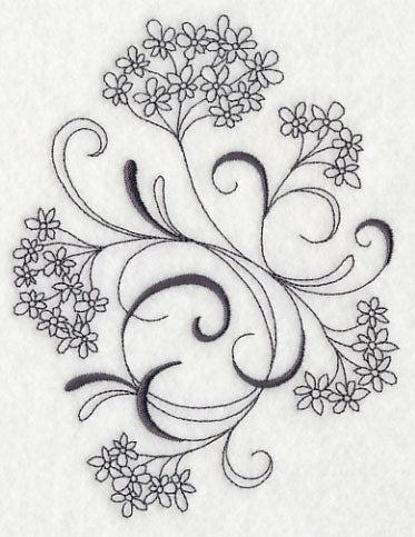 Inky Queen Anne's Lace