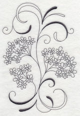 Inky Queen Anne's Lace Spray