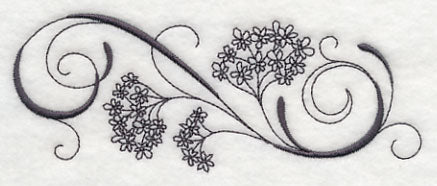 Inky Queen Anne's Lace Border