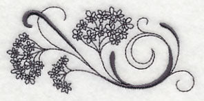 Inky Queen Anne's Lace Border