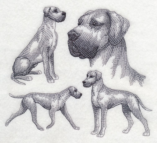 Great Dane Sketch (Full Ears)