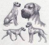 Great Dane Sketch (Full Ears)