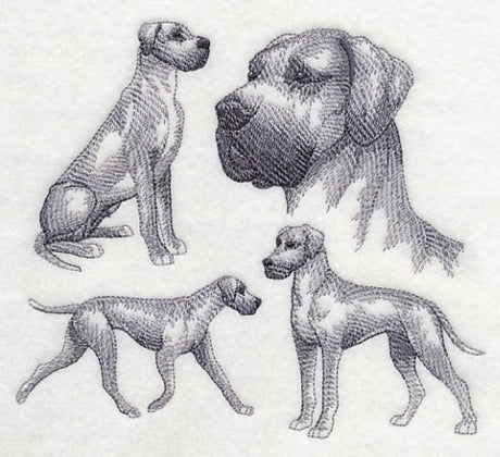 Great Dane Sketch (Full Ears)