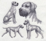 Great Dane Sketch (Full Ears)