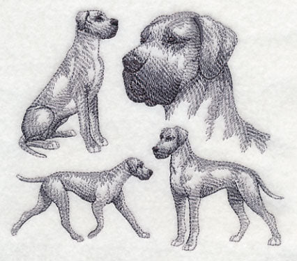 Great Dane Sketch (Full Ears)