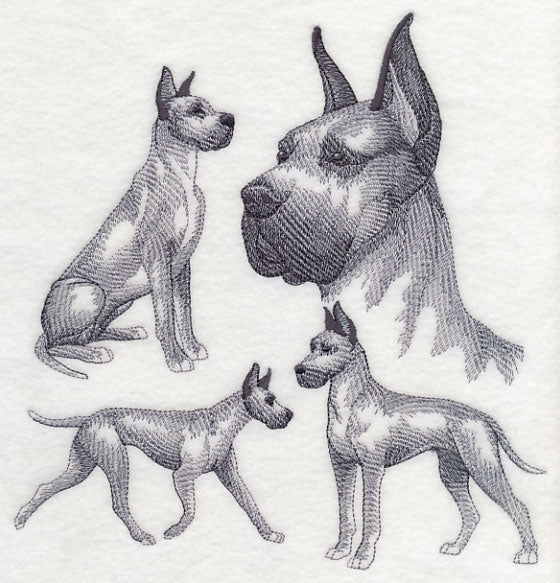 Great Dane Sketch (Cropped Ears)