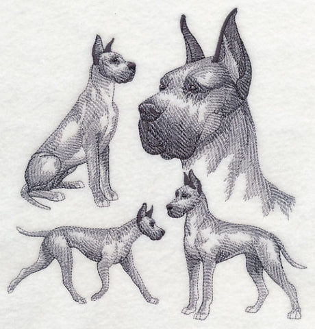 Great Dane Sketch (Cropped Ears)