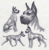 Great Dane Sketch (Cropped Ears)