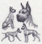 Great Dane Sketch (Cropped Ears)