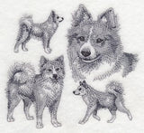 Icelandic Sheepdog Sketch