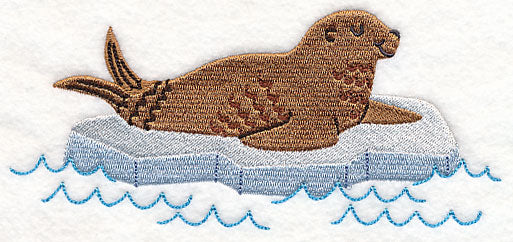 Chillin' Arctic Seal