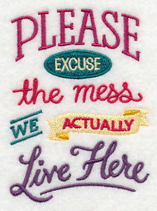 Excuse The Mess Live Here