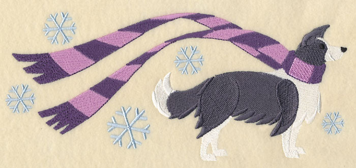 Wrapped Up In Winter Border Collie