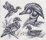 Wood Duck Sketch