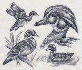 Wood Duck Sketch