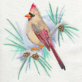 Cardinal (Female) in Watercolor