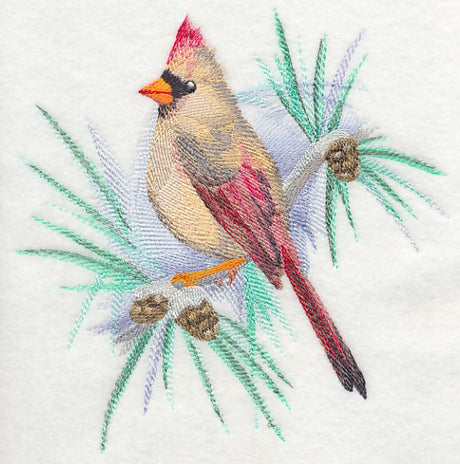 Cardinal (Female) in Watercolor