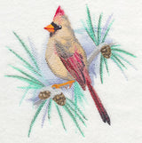 Cardinal (Female) in Watercolor