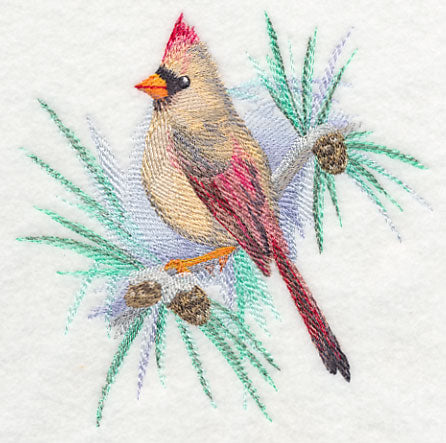 Cardinal (Female) in Watercolor