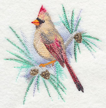 Cardinal (Female) in Watercolor